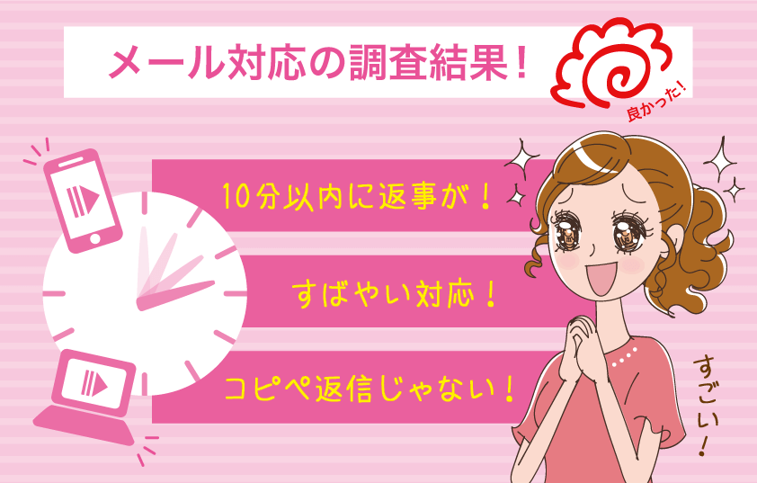 ヴェルニメール対応の調査結果