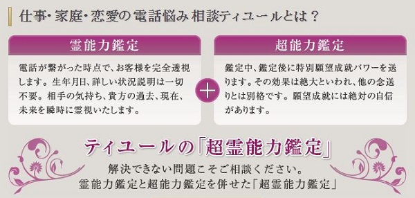 ティユールは霊能者による本格的な鑑定