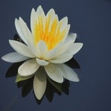 霊場天扉 水葵先生