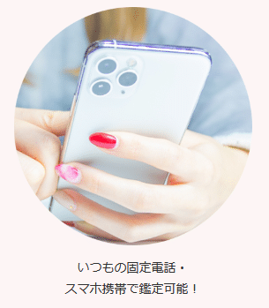 エスペラントはSSCシステムで安全に電話ができる