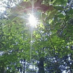 玲華（れいか）先生