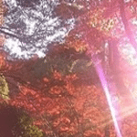 みゆう先生