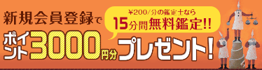 ステラコール新規登録特典