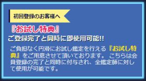 電話占いウィルのお試し特典