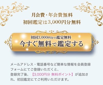 電話占いニーケ-初回鑑定3,000円分無料