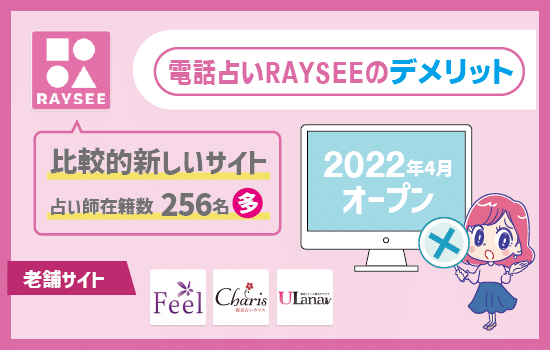電話占いRAYSEE（レイシー）のデメリット「運営歴が短い」